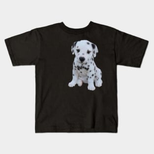 Cute puppy will white spots Kids T-Shirt